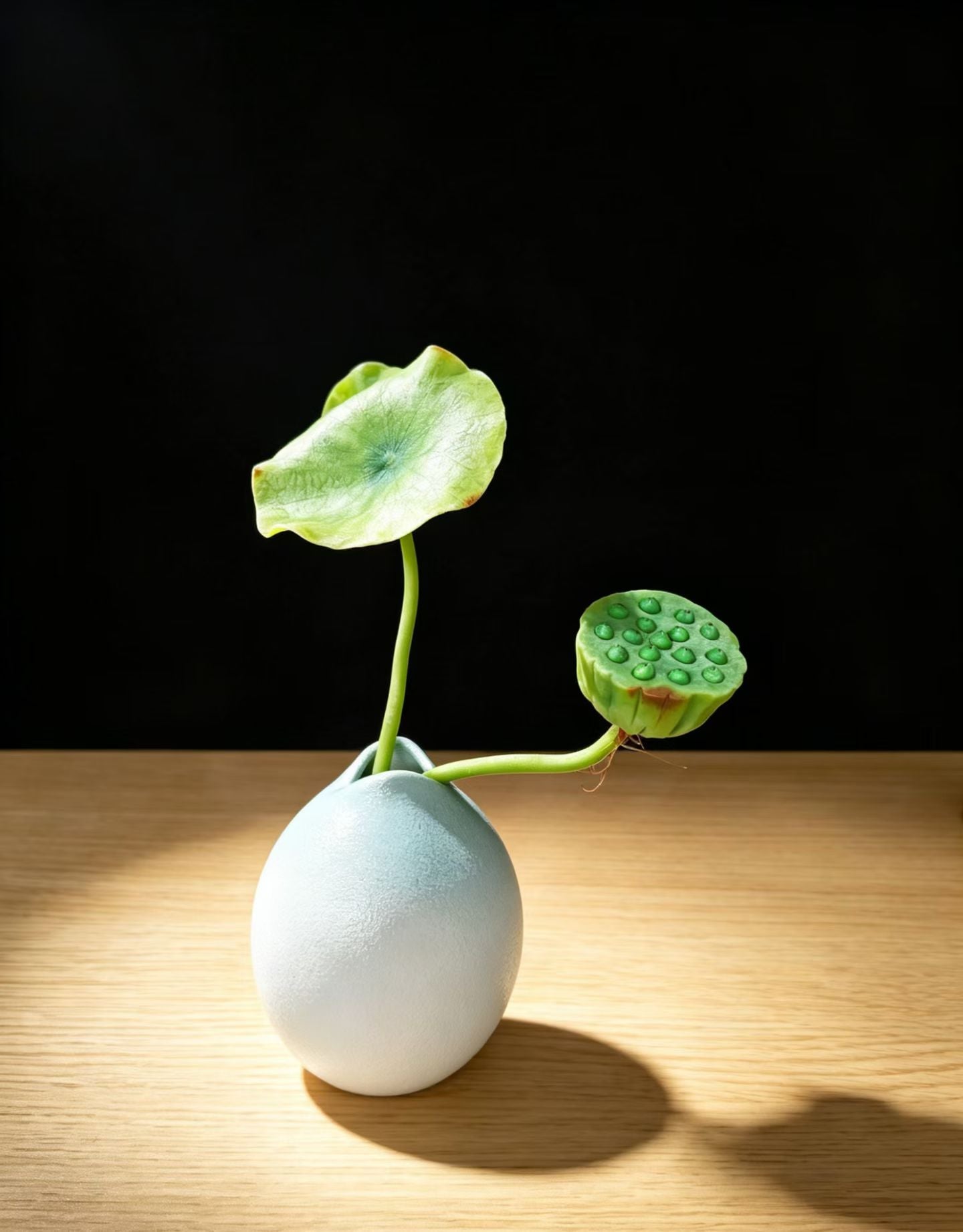 Handmade Preserved Lotus Pod & Leaf with Matte Ceramic Vase